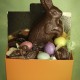 Balotin choc case et petit lapin