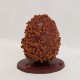 Boulangerie-Chocolaterie-Verjus-Janze-Oeuf-Gourmand-petit-Rb288