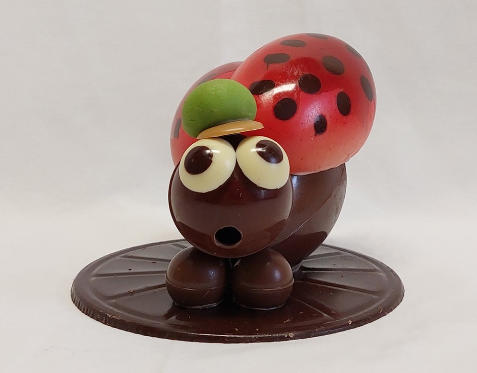 Boulangerie-Chocolaterie-Verjus-Janze-coccinelle-Tf699