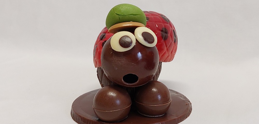 Boulangerie-Chocolaterie-Verjus-Janze-coccinelle-Tf702