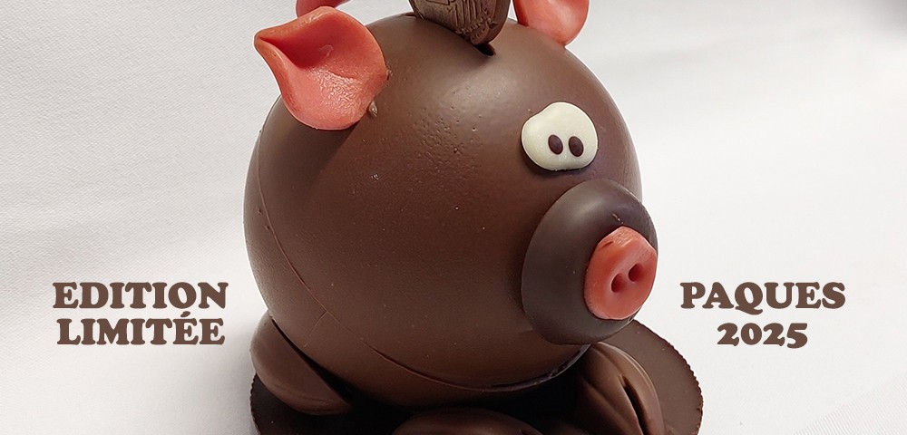 Boulangerie-Chocolaterie-Verjus-Janze-cochonou-2-paques-chocolat-Iu519