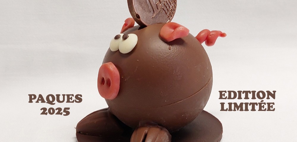 Boulangerie-Chocolaterie-Verjus-Janze-cochonou-4-paques-chocolat-Fc659