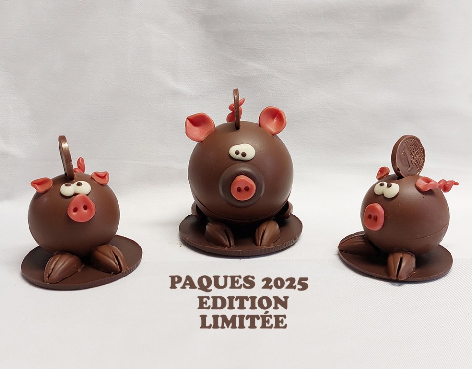 Boulangerie-Chocolaterie-Verjus-Janze-cochonou-paques-chocolat-Qx589